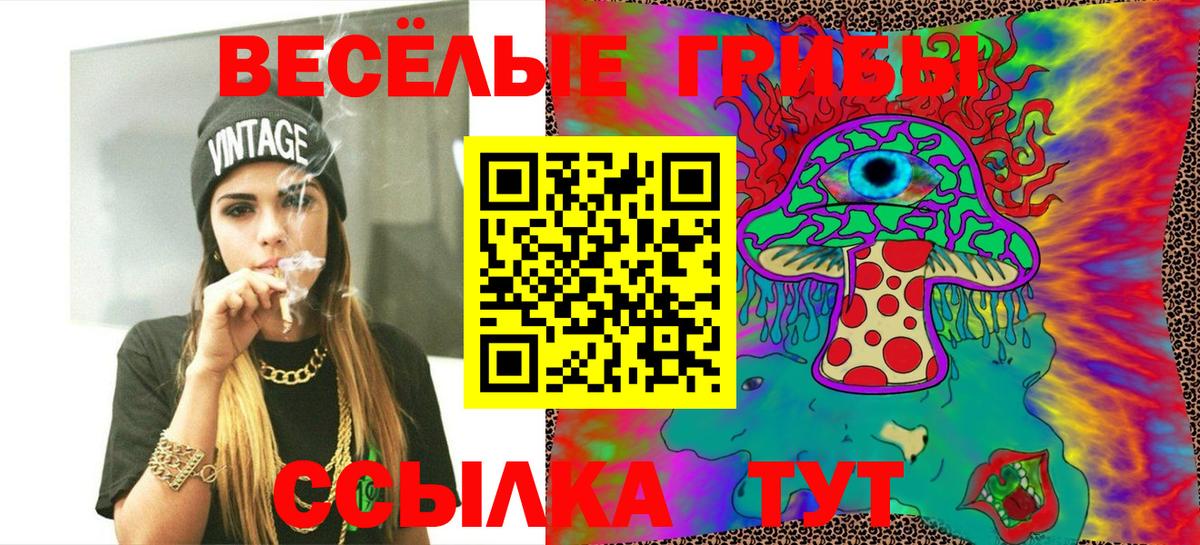Галлюциногенные грибы Psilocybine cubensis Котовск