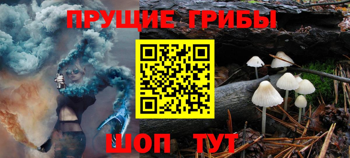 Псилоцибиновые грибы мицелий  Псилоцибиновые грибы ЛСД  Котовск  Вход с VPN 